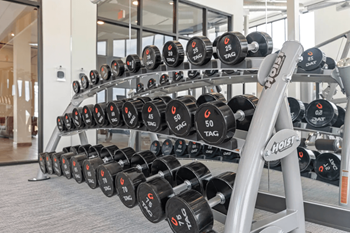 a rack of dumbbells in a gym at Yellowstone Landing, Belgrade, MT, 59714